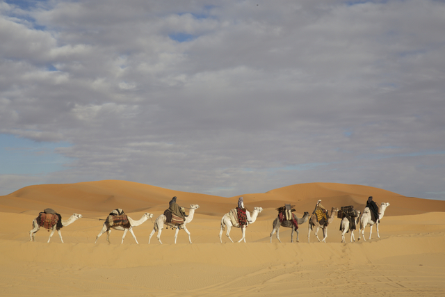 映画 アラビアの女王 愛と宿命の日々 あらすじ ネタバレ レビュー
